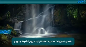 أفضل 6 وجبات صحية للإفطار لبدء يوم نشيط وحيوي